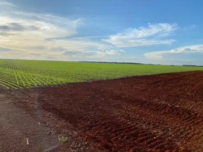 Fazenda à venda, 381 ha, Tabaporã-MT — foto do anúncio