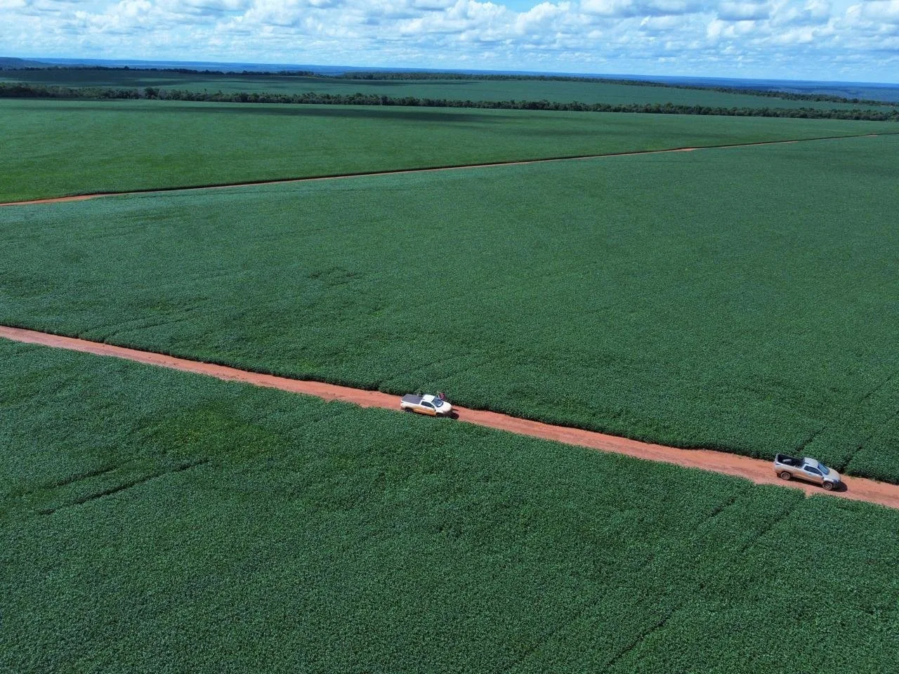 Fazenda à venda, 3.705 hectares, Norte do Mato Grosso-Brazil, foto principal do anúncio