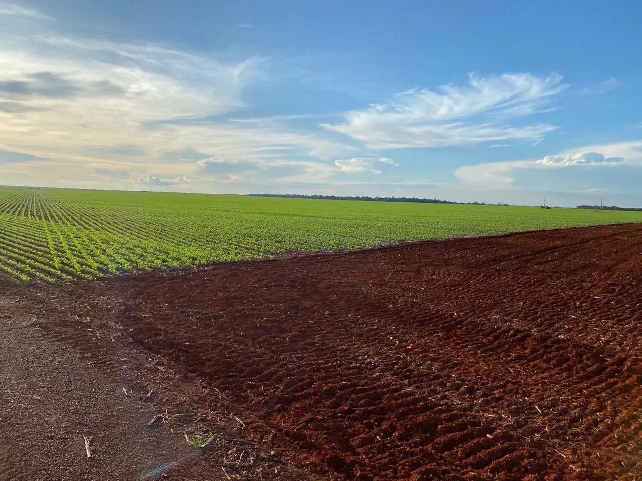 Fazenda à venda, 381 ha, Tabaporã-MT, foto principal do anúncio